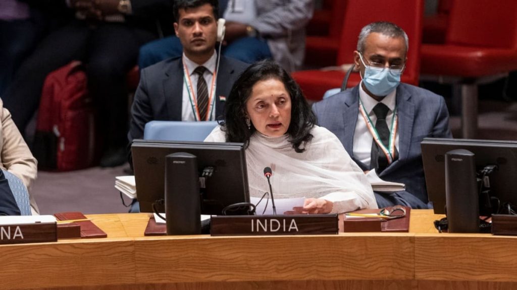 No good, bad terrorists : India envoy