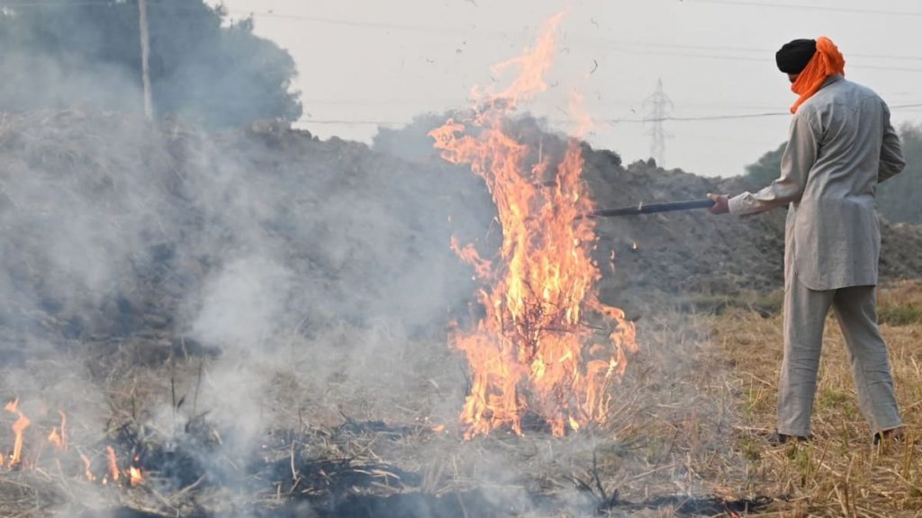 Take urgent measures, control Parali burning in Punjab; Delhi LG to Punjab CM